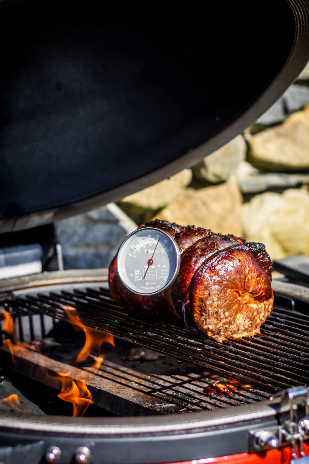 Taylor Pro Leave-In Meat Thermometer