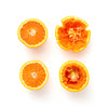 Chef'n FreshForce™ Tabletop Citrus Press image 8
