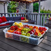 Farberware SnackleBox Polypropylene Board and Box, 30 x 40.5CM