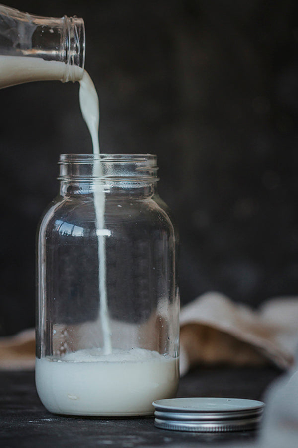 Home Made Kefir Making Kit image 3
