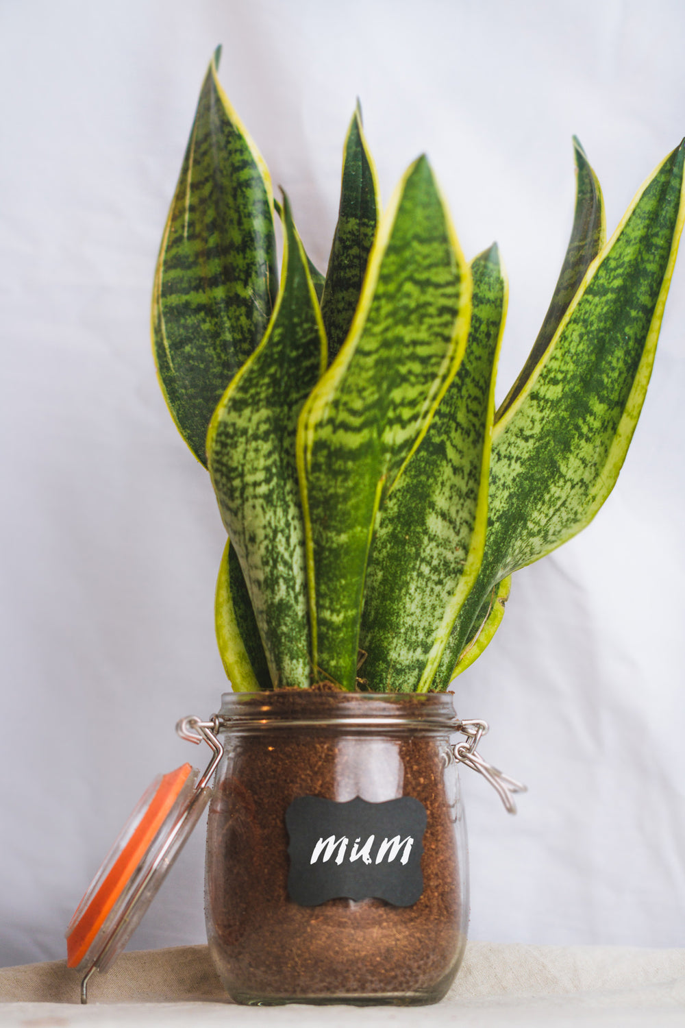 Home Made Glass 750ml Preserving Jar