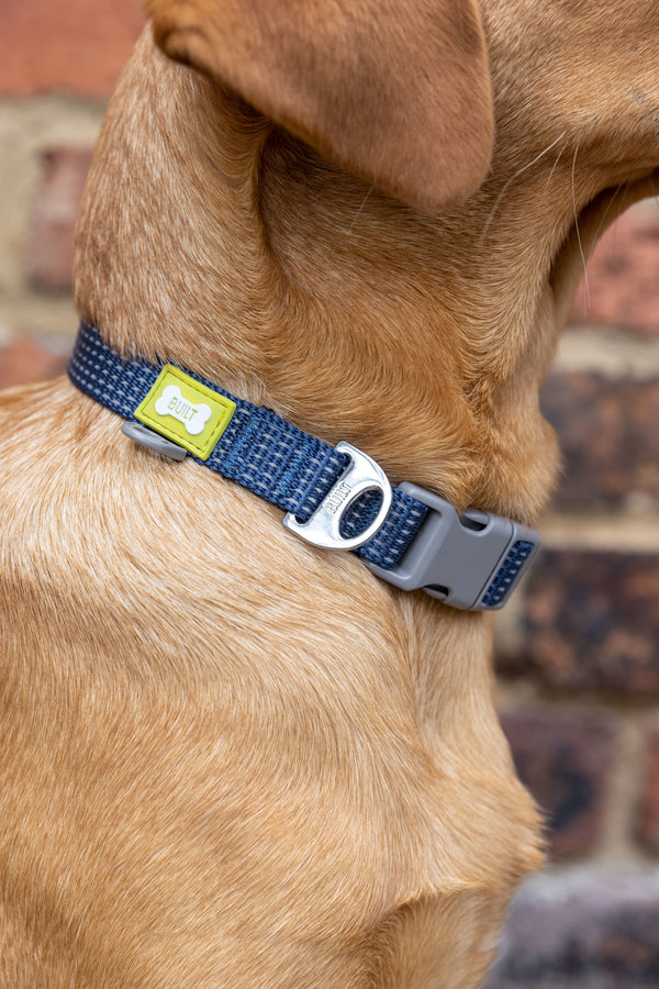 BUILT PET Medium Night Safe Reflective Collar - Blue image 5