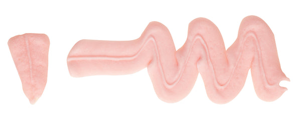 Sweetly Does It Large Leaf Icing Nozzle image 2