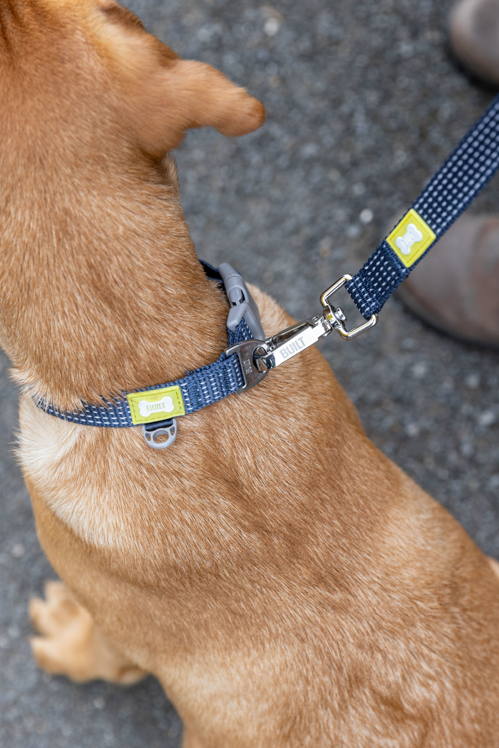 BUILT PET Medium Double Handle Night Safe Reflective Lead - Blue