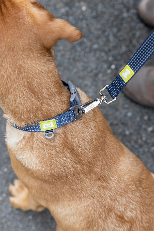 BUILT PET Medium Double Handle Night Safe Reflective Lead - Blue image 7