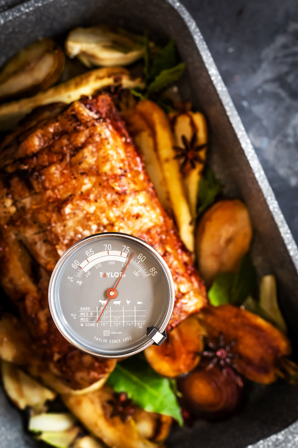 Taylor Pro Leave-In Meat Thermometer
