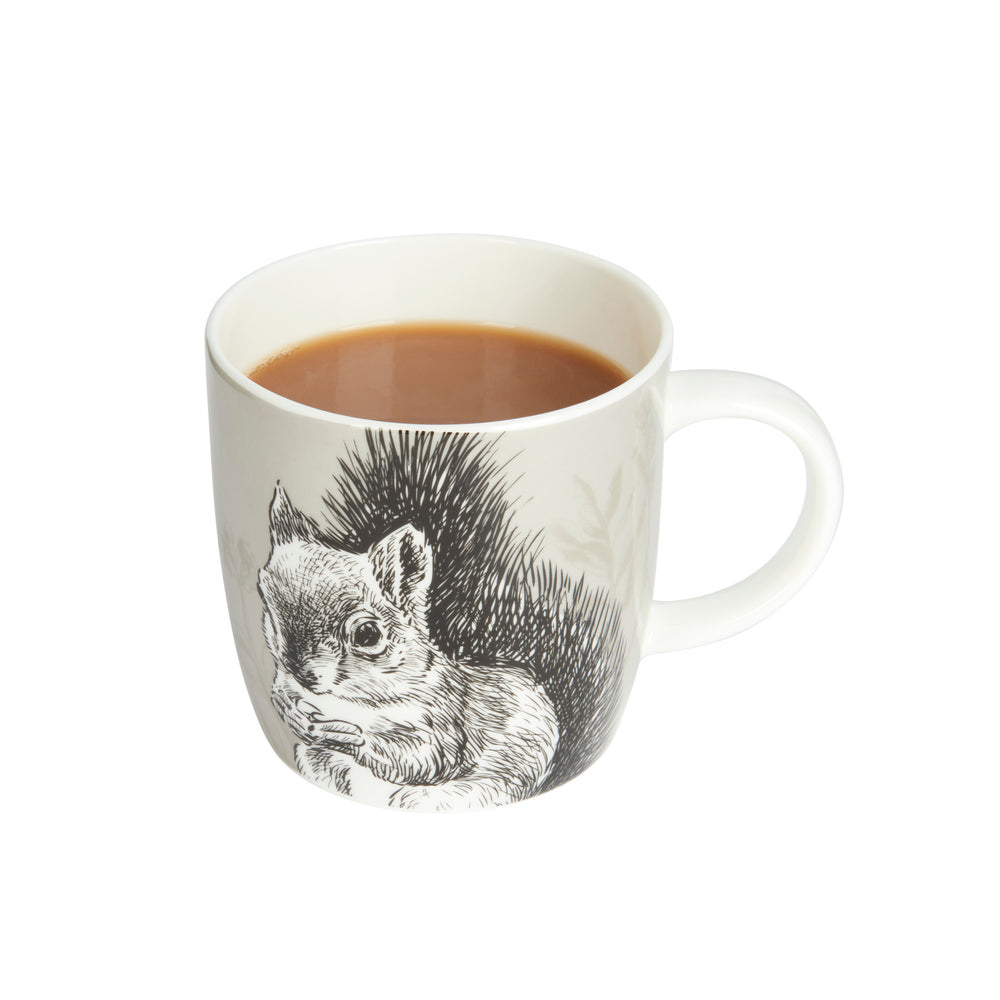 Set of 4 KitchenCraft China Squirrel Mugs