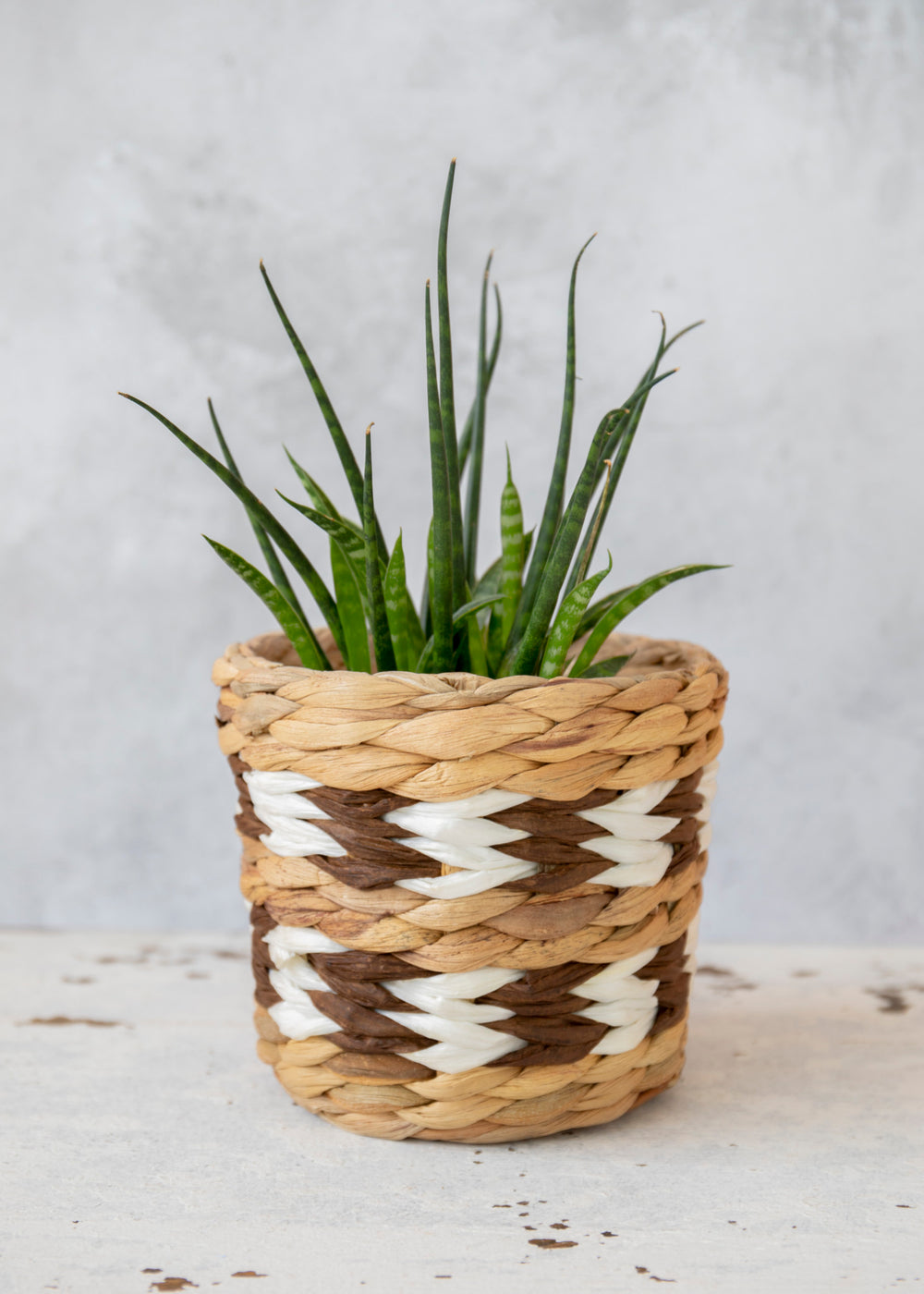 KitchenCraft Water Hyacinth Planters, Set of 2, Striped Design