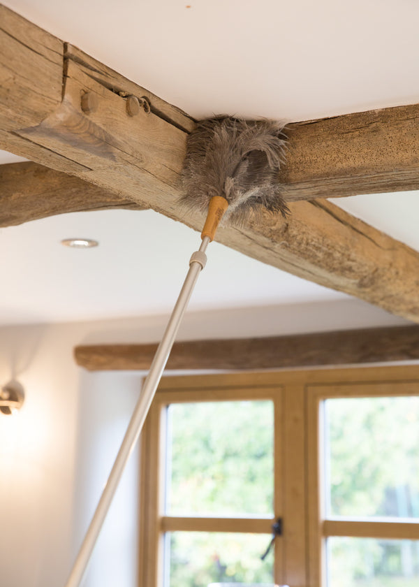 Living Nostalgia Genuine Ostrich Feather Duster with Telescopic Handle image 2