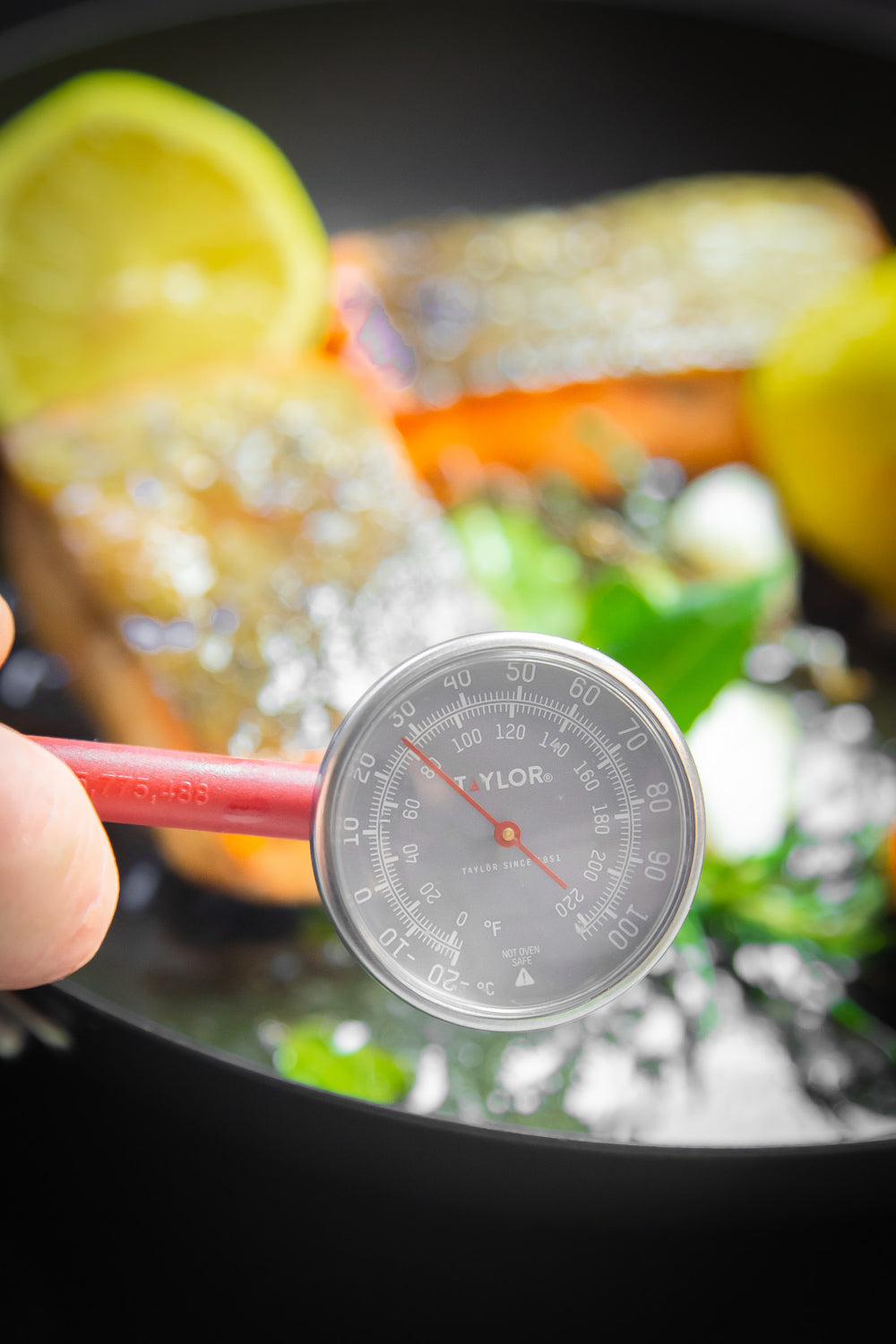 Taylor Instant-Read Food Thermometer Probe, Stainless Steel, 14cm