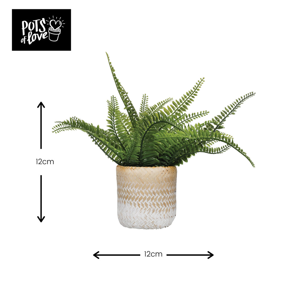 KitchenCraft Bamboo Planter, White Ombré Design