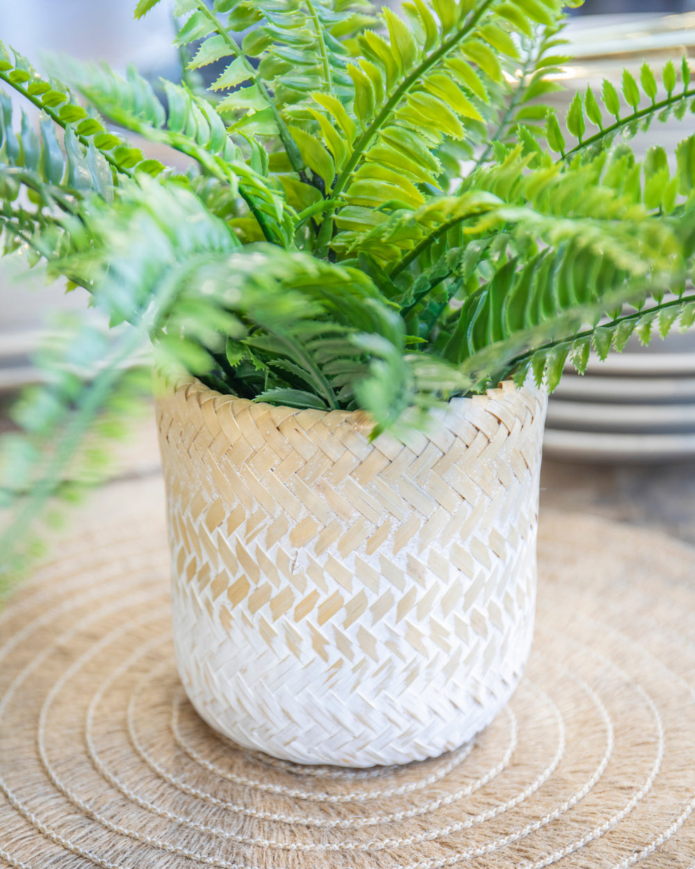 KitchenCraft Bamboo Planter, White Ombré Design