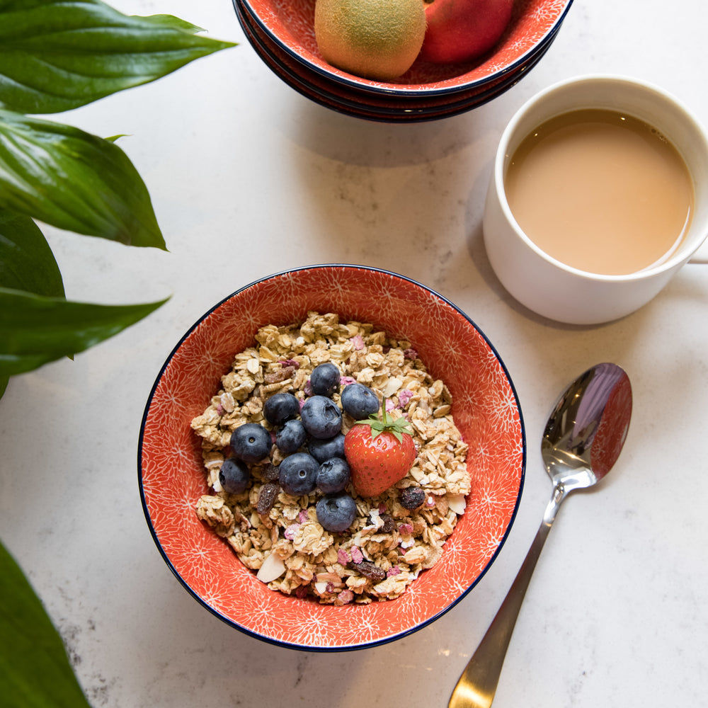 Set of 4 KitchenCraft Red Floral and Blue Edge Ceramic Bowls