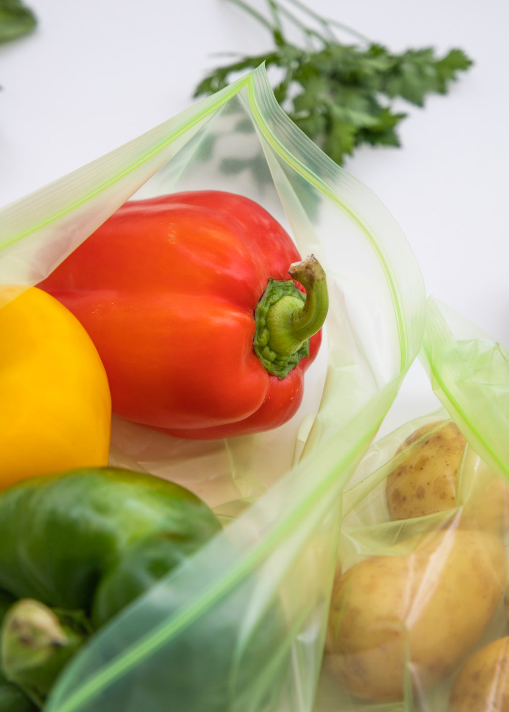 MasterClass Zipped Fresh Bag - Medium, Set of 20