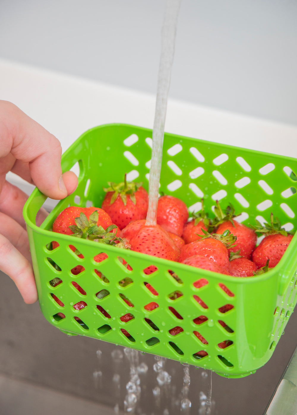 MasterClass Fresh Keeper - 1.6L