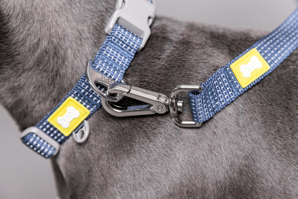 BUILT PET Large Double Handle Night Safe Reflective Lead - Blue