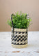 KitchenCraft Seagrass Plant Basket with Handles, Black & Grey Striped Design