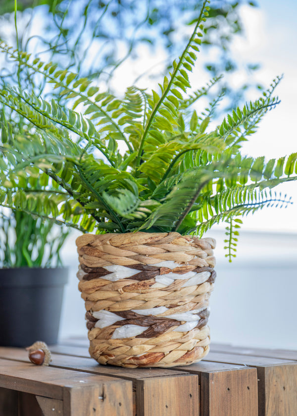 KitchenCraft Water Hyacinth Planter, Striped Design image 8