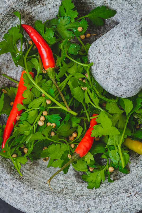 KitchenCraft World of Flavours Granite Mortar and Pestle image 6