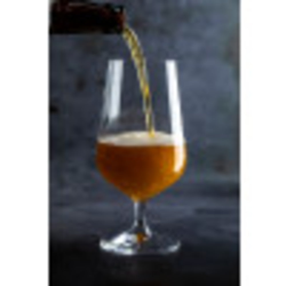 Mikasa Hospitality Vine Beer Glasses, 380 ml, Set of 6