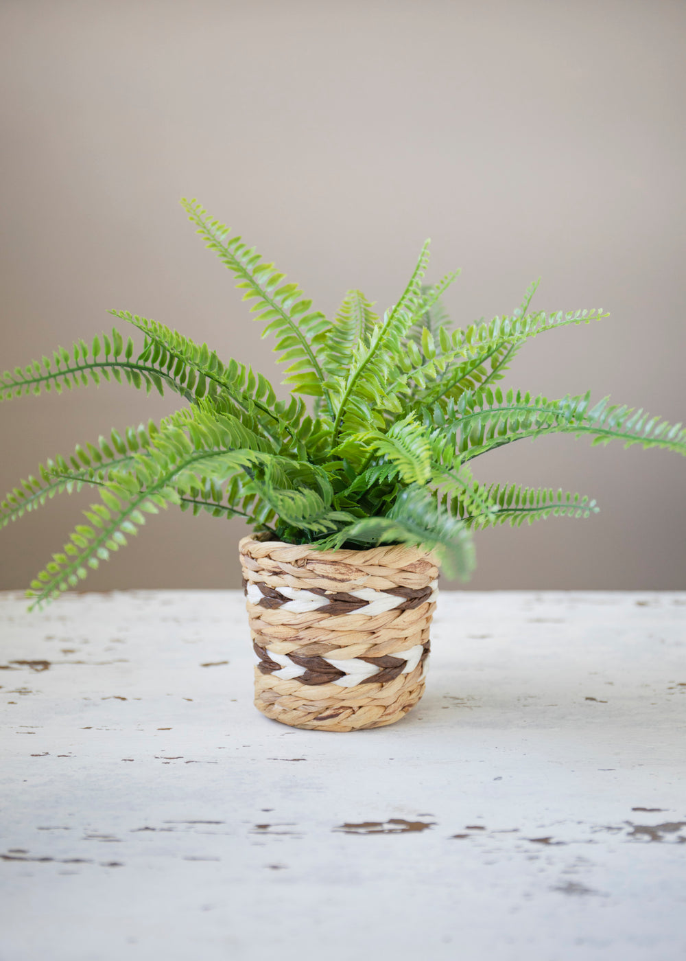 KitchenCraft Water Hyacinth Planter, Striped Design
