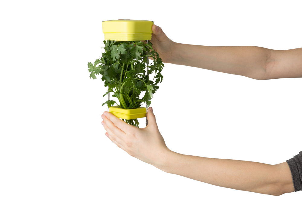 Chef'n HerbFresh Fresh Herb Storage