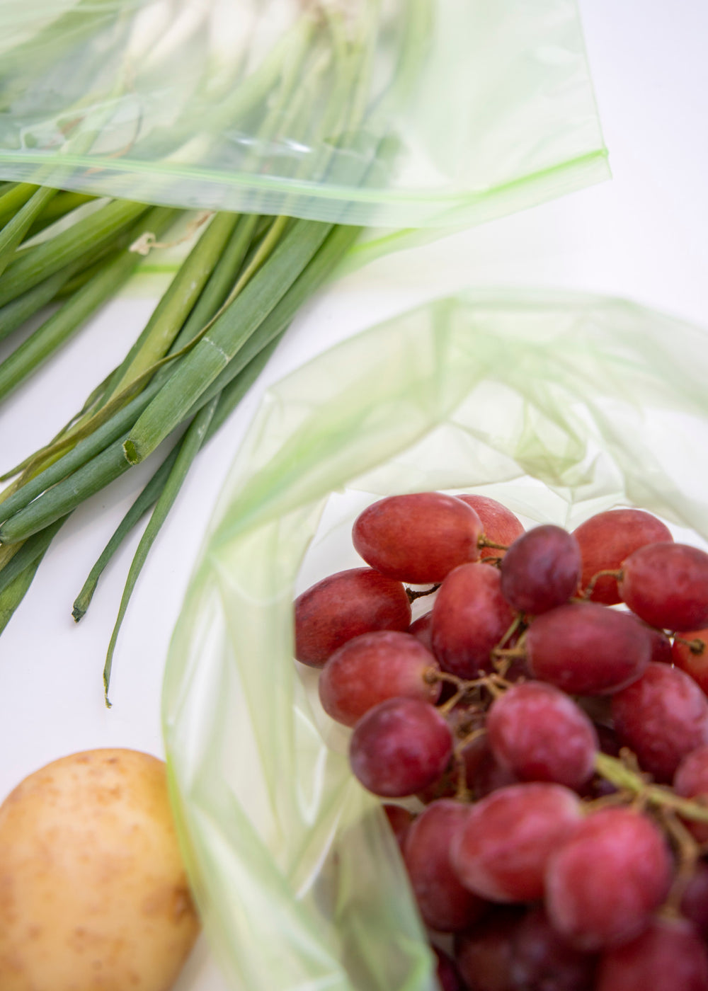 MasterClass Zipped Fresh Bag - Medium, Set of 20