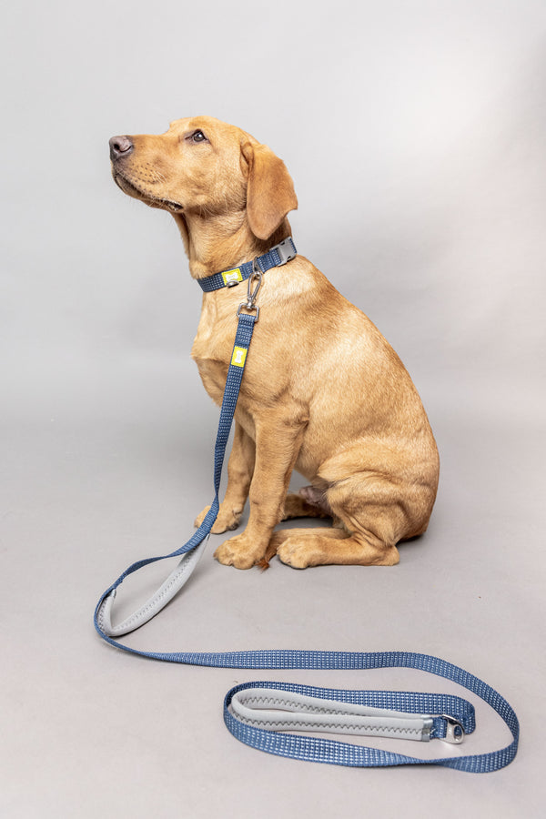 BUILT PET Medium Night Safe Reflective Collar And Lead Set - Blue image 2
