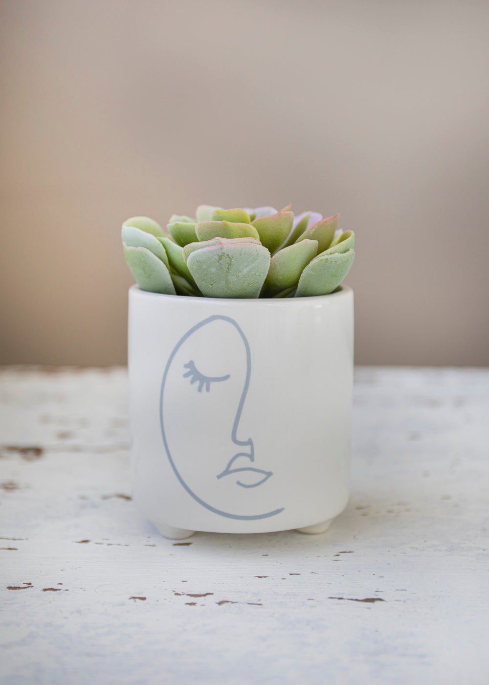 KitchenCraft Abstract Face Planter, Dolomite, White / Grey