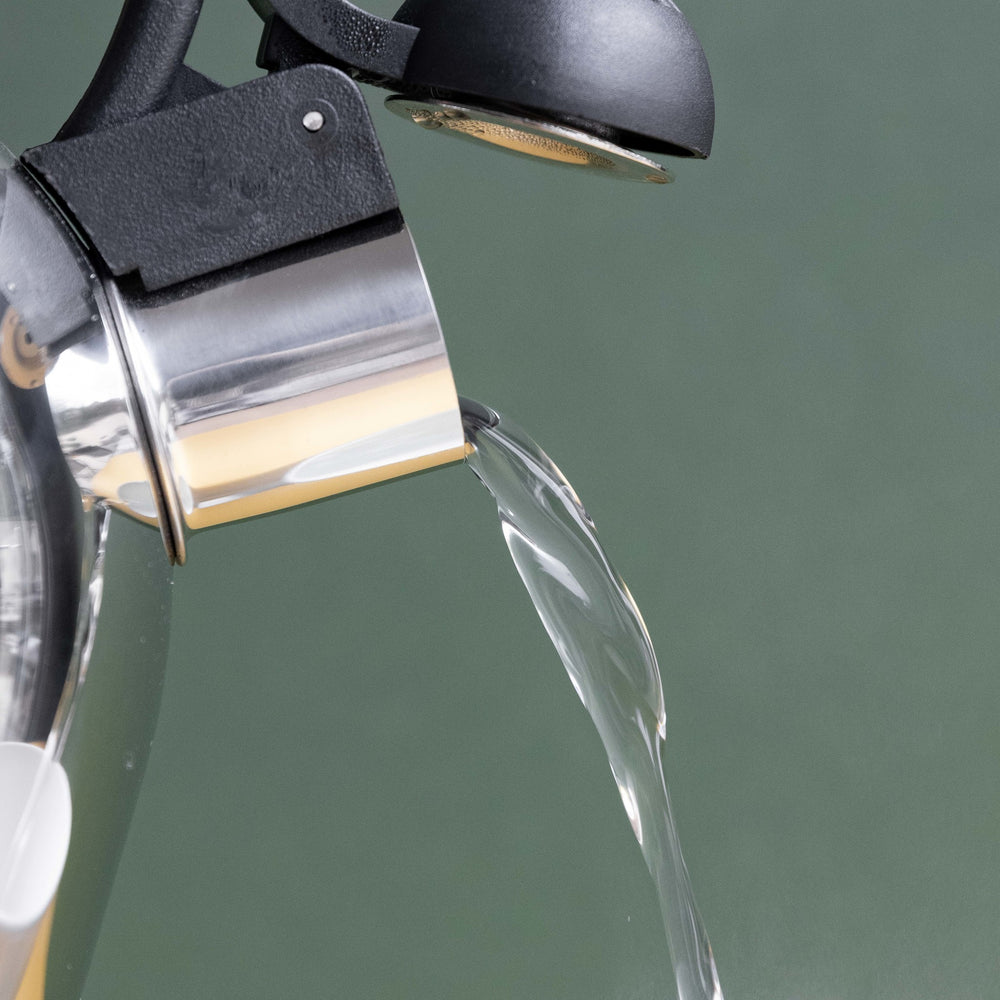 La Cafetière 1.3L Stainless Steel Whistling Tea Kettle, Gift Boxed