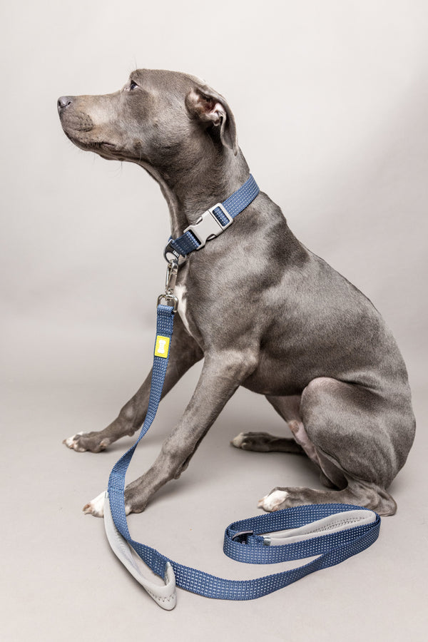 BUILT PET Large Double Handle Night Safe Reflective Lead - Blue image 5