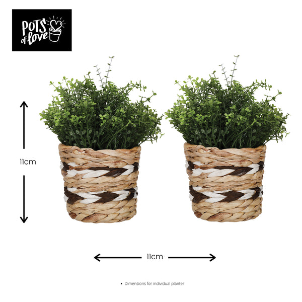 KitchenCraft Water Hyacinth Planters, Set of 2, Striped Design image 8