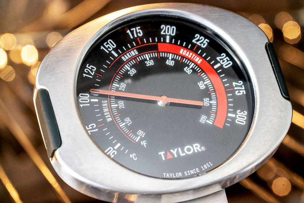 Taylor Pro Stainless Steel Leave-In Oven Thermometer