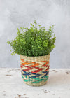 KitchenCraft Seagrass Plant Basket, Rainbow Striped Design image 3