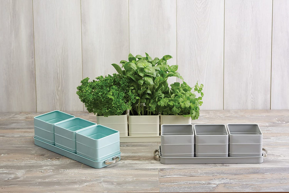 Living Nostalgia Antique Cream Herb Pots with Tray