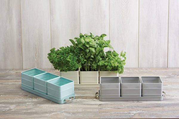 Living Nostalgia Antique Cream Herb Pots with Tray image 7