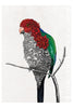 Maxwell & Williams Marini Ferlazzo Australian King Parrot Tea Towel