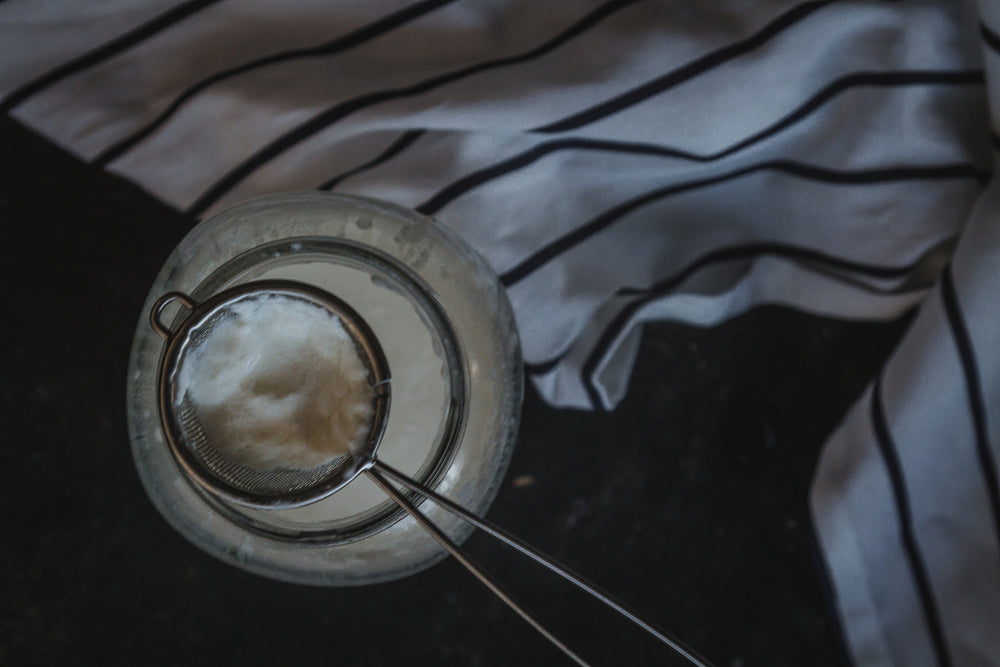 Home Made Kefir Making Kit