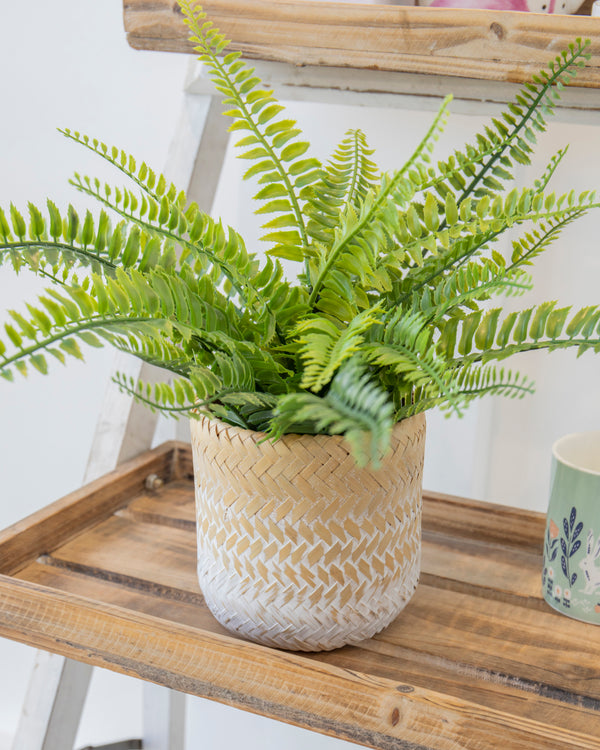 KitchenCraft Bamboo Planter, White Ombré Design image 4
