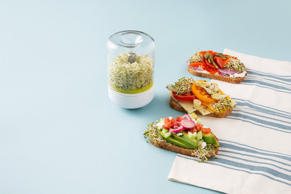 Chef'n Countertop Sprouter™ Growing Kit