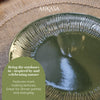 Mikasa Jardin Stoneware Dinner Plates, Set of 4, 27cm, Green image 9
