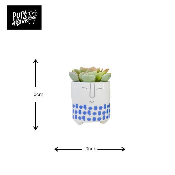 KitchenCraft Happy Face Planter, Dolomite, White / Blue image 7