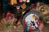 Mikasa x Sarah Arnett Porcelain Dinner Plate, Set of 4, 27cm image 7