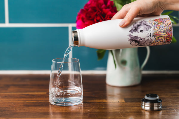 Mikasa Tipperleyhill Guinea Pig Double-Walled Stainless Steel Water Bottle, 500ml image 5