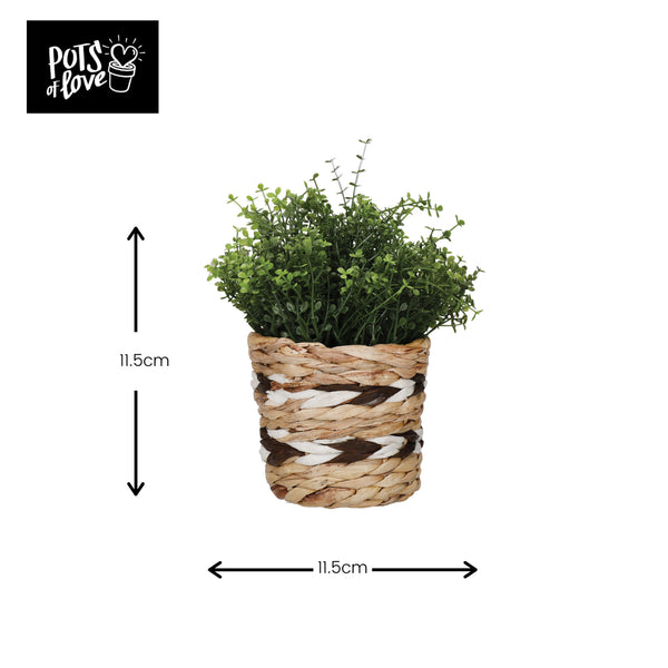 KitchenCraft Water Hyacinth Planter, Striped Design image 7