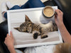 Creative Tops Sleeping Kitten Laptray image 2