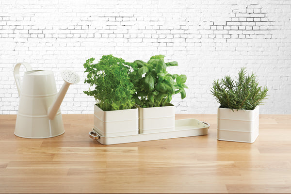 Living Nostalgia Antique Cream Herb Pots with Tray image 2