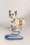 BUILT PET Small Double Handle Night Safe Reflective Lead - Blue image 6