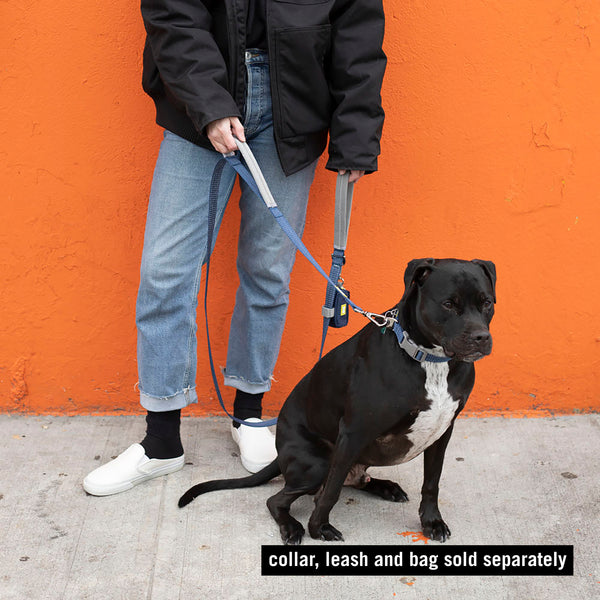 BUILT PET Large Double Handle Night Safe Reflective Lead - Blue image 2