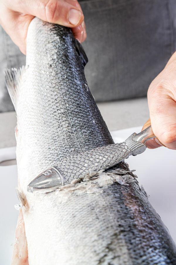 KitchenCraft Fish Scaler image 6